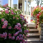 Hotel Puccinelli