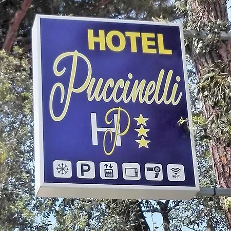 ホテル Puccinelli 3*
