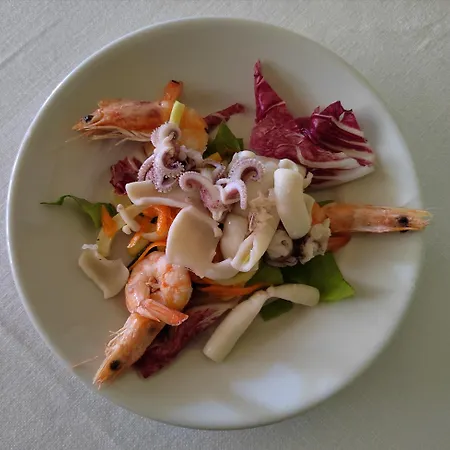 Puccinelli Lido di Camaiore