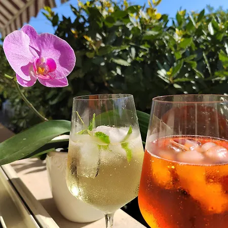 Hotel Puccinelli Lido di Camaiore