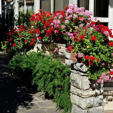 Hotel Puccinelli 3*