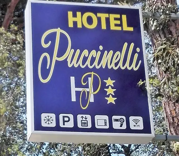 ホテル Puccinelli 3*