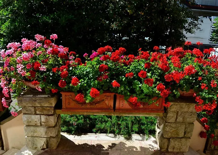 ホテル Puccinelli